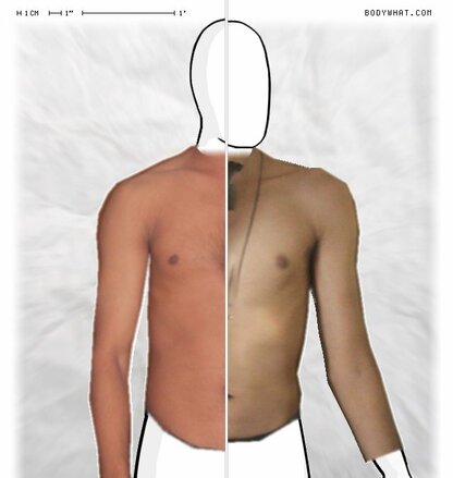Torso Comparison
