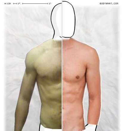 Torso Comparison