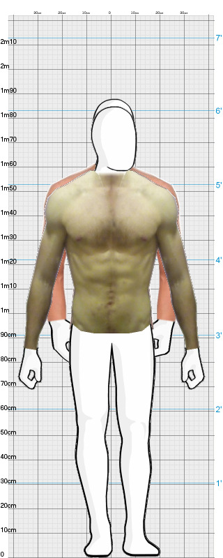Full Size Comparison