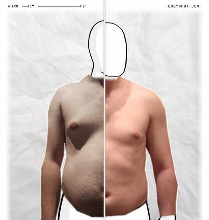 Torso Comparison