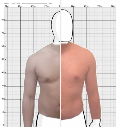 Torso Comparison