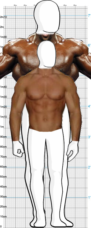 Full Size Comparison