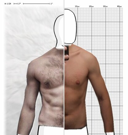 Torso Comparison