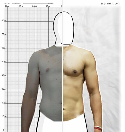 Torso Comparison