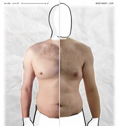 Torso Comparison