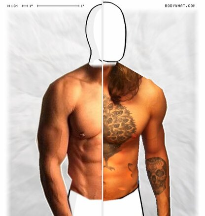 Torso Comparison