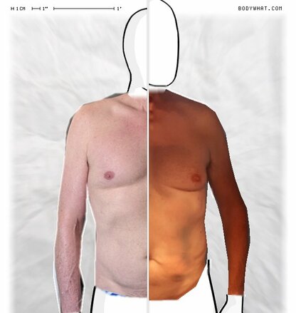 Torso Comparison
