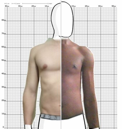 Torso Comparison