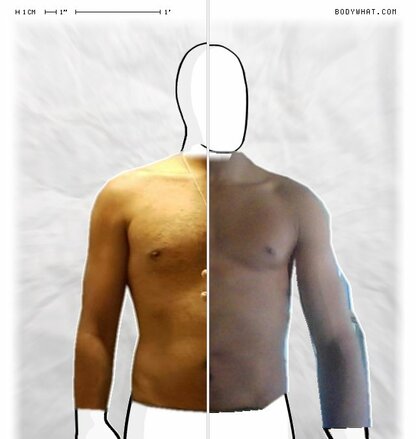 Torso Comparison