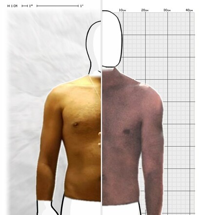 Torso Comparison