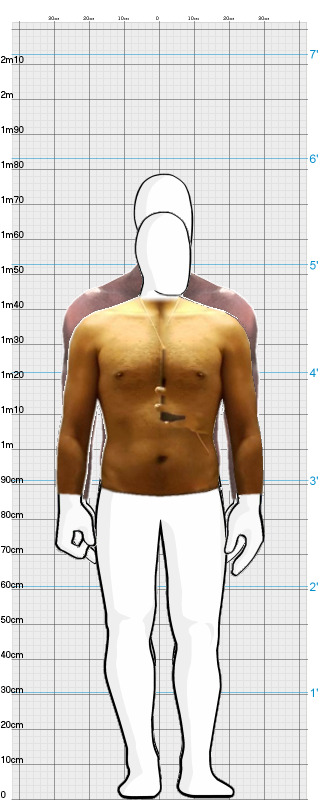 Full Size Comparison