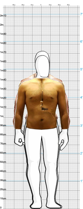 Full Size Comparison