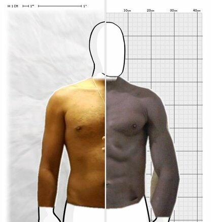 Torso Comparison