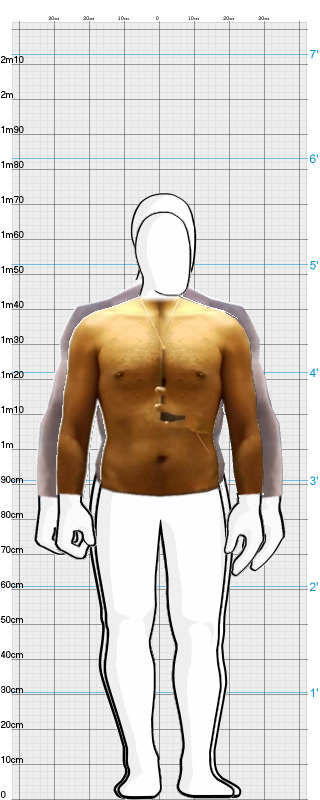 Full Size Comparison