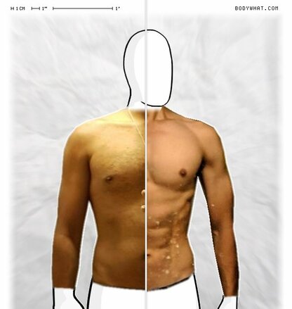 Torso Comparison