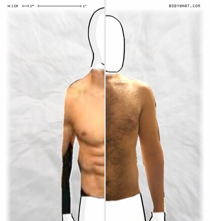 Torso Comparison