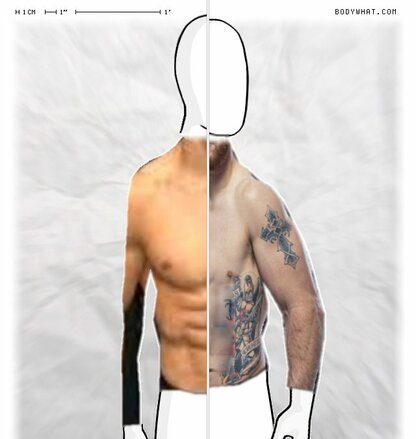 Torso Comparison