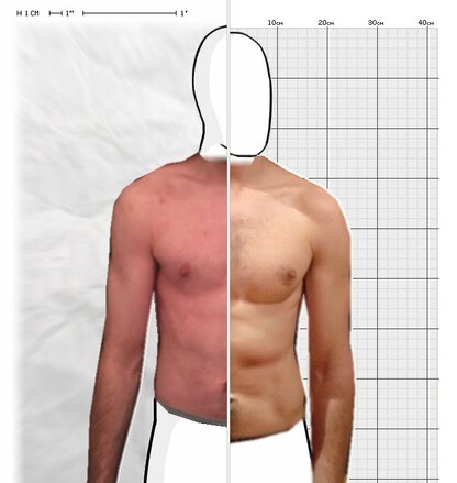 Torso Comparison