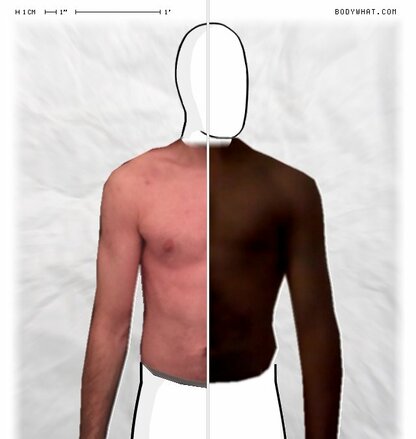 Torso Comparison