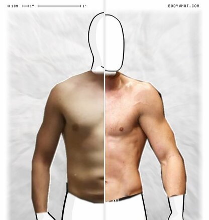 Torso Comparison