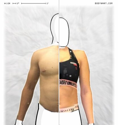 Torso Comparison