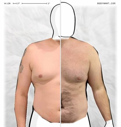 Torso Comparison