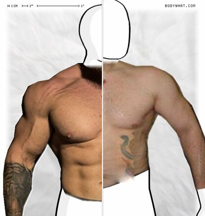 Torso Comparison