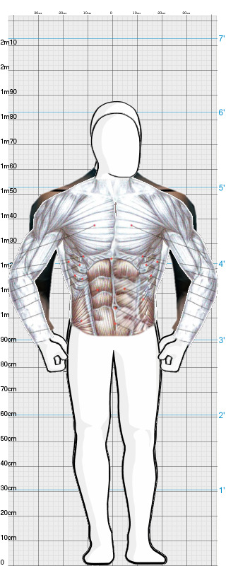 Full Size Comparison