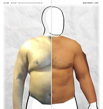 Torso Comparison