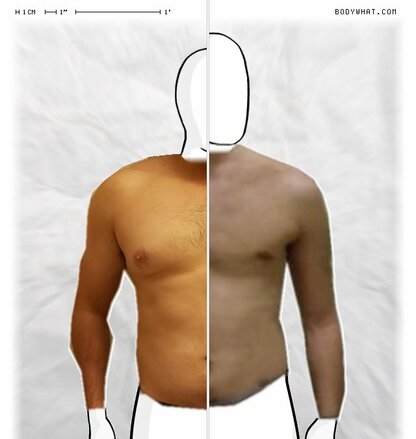 Torso Comparison