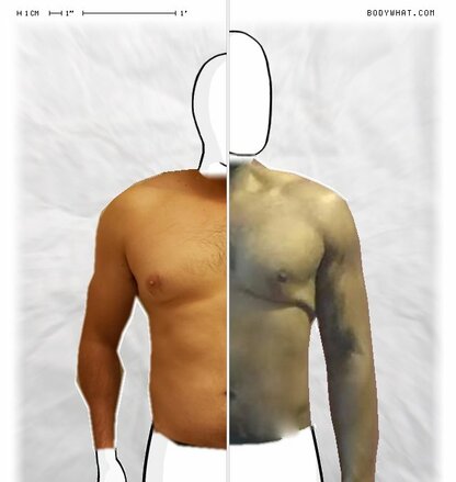 Torso Comparison