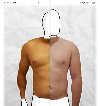 Torso Comparison