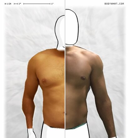 Torso Comparison