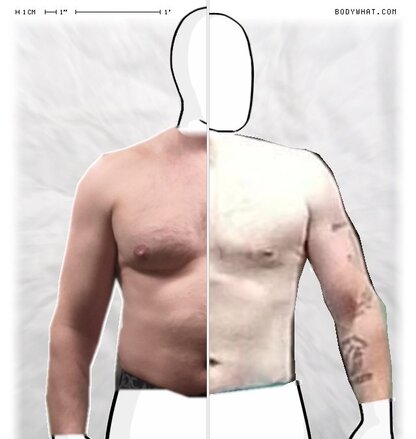 Torso Comparison