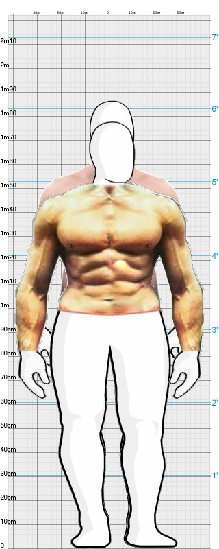 Full Size Comparison