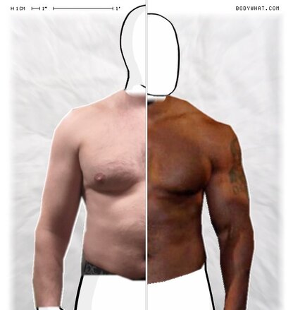 Torso Comparison
