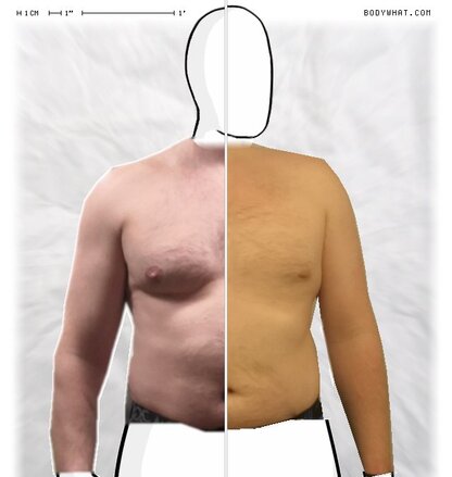 Torso Comparison