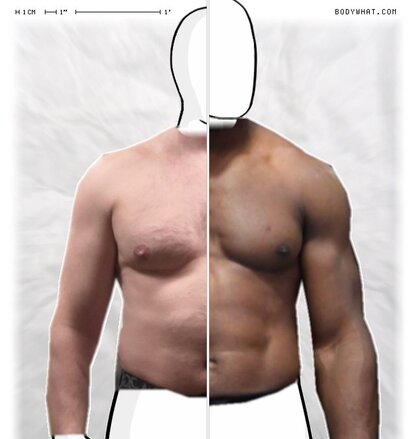 Torso Comparison