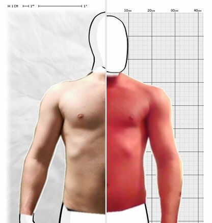 Torso Comparison