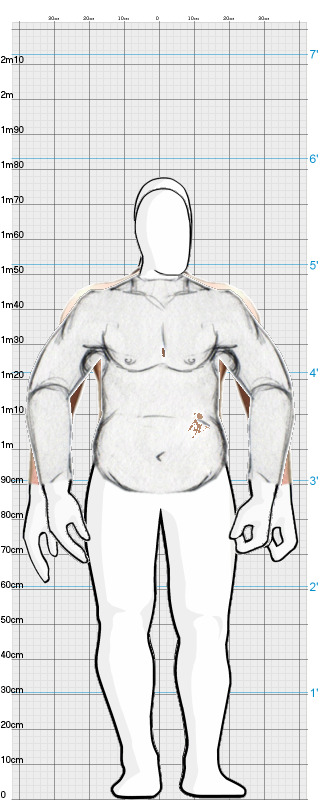 Full Size Comparison