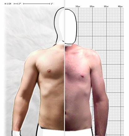 Torso Comparison