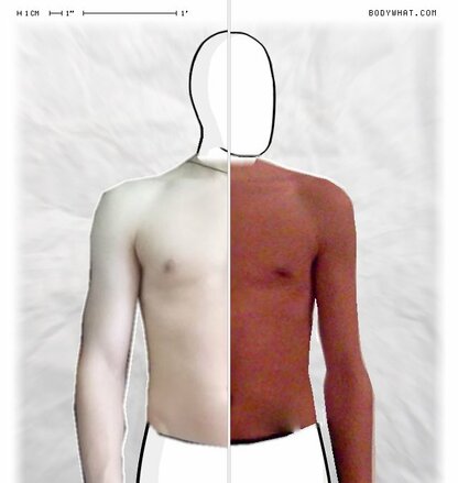 Torso Comparison