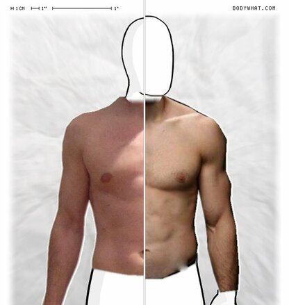 Torso Comparison