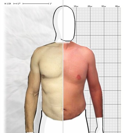 Torso Comparison