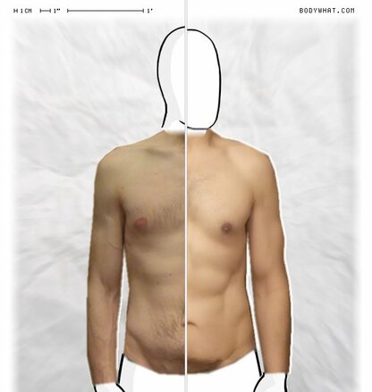 Torso Comparison