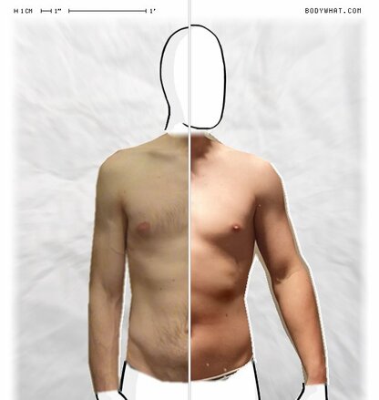 Torso Comparison