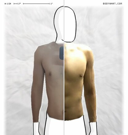 Torso Comparison