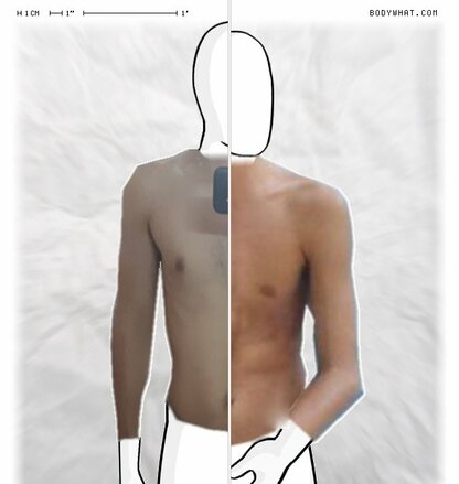 Torso Comparison