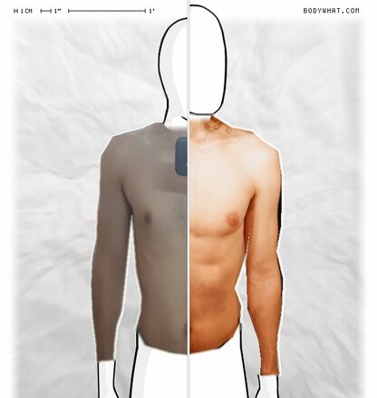 Torso Comparison