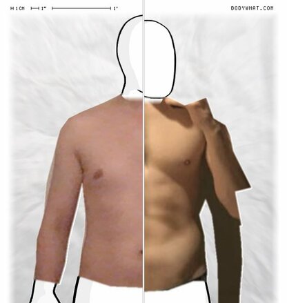 Torso Comparison